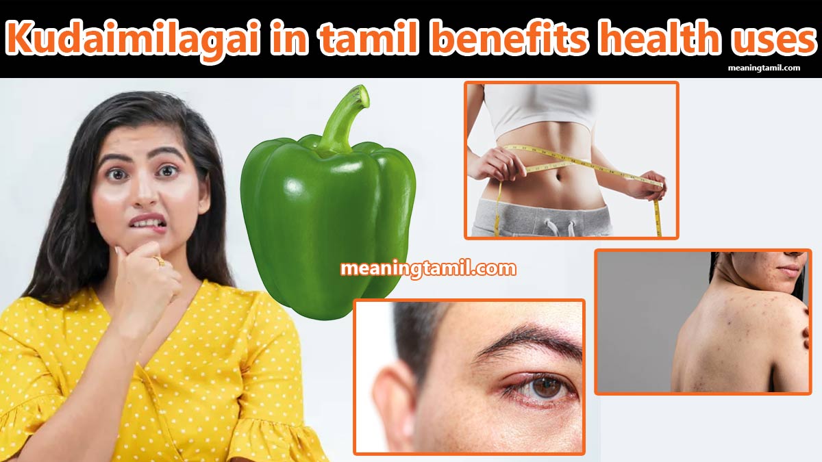 kudaimilagai in tamil