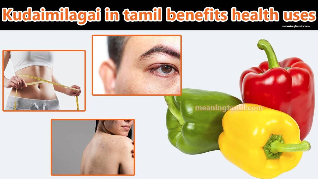 kudaimilagai in tamil