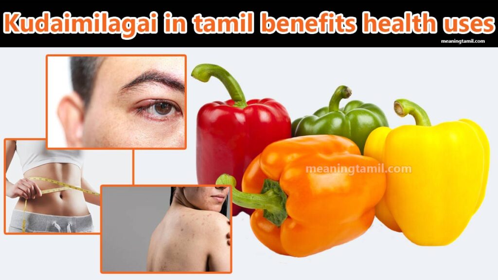 kudaimilagai in tamil